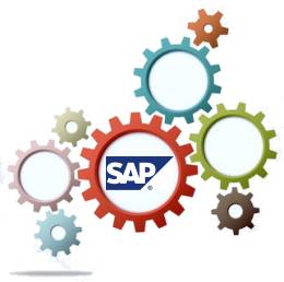 Die perfekte Softwarelösung: Unsere SAP Tools für die Supply Chain